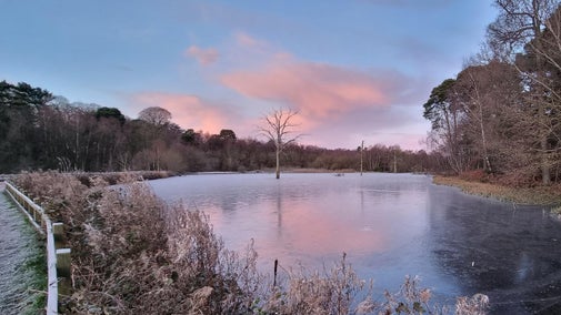 Lake arm during the winter